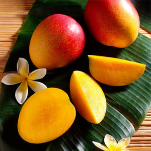 Kesar Mangoes