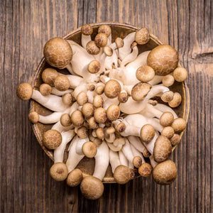 Shimleji Mushrooms