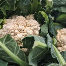 Load image into Gallery viewer, Farmers Veggie Box
