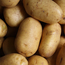 Load image into Gallery viewer, Essential Veggie Box
