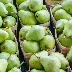 AgroFruit Box