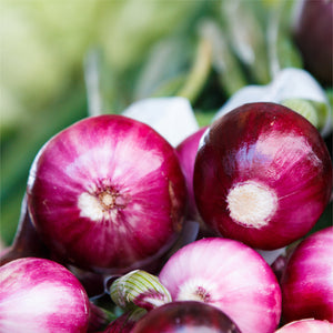 Essential Veggie Box