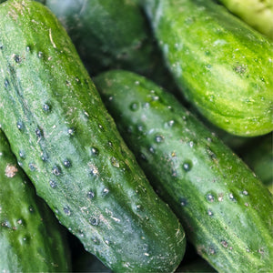 Farmers Veggie Box